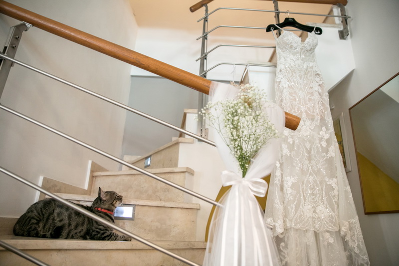 Kostas Apostolidis Photography   portfolio