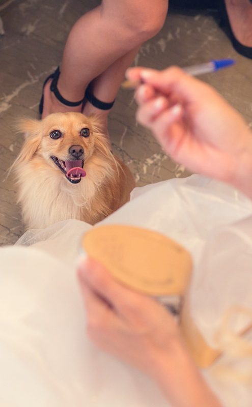 Kostas Apostolidis Photography   portfolio